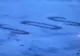 O poveste ADEVĂRATĂ cu final fericit: trei marinari naufragiați pe o insula din Oceanul Pacific, salvați după de au afișat un semn SOS uriaș pe nisip