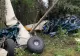 Tragedie aviatică! 7 morți, după ce două avioane s-au lovit în zbor