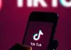 Tik Tok, interzis pentru angajații guvernului și legislativului american