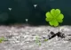 Horoscop 5 august.  Zodia care se bucură de un succes răsunător în afaceri