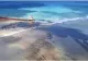 Cel puțin 40 de delfini morți în urma dezastrului ecologic din insulele Mauritius