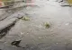  Probleme în județul Hunedoara cauzate de ploaia torențială: Sistem de canalizare surpat, locuințe inundate