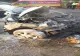 Accident tragic în Suceava. O tânără de 21 de ani și-a pierdut viața