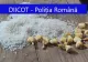 3 bărbați care vindeau droguri de mare risc elevilor din Giurgiu, trimiși în judecată - Cum acționau traficanții