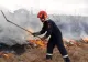 Incendiu de vegetație în Harghita: 70 de hectare de teren, puternic afectate