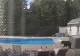 Reacția incredibilă a unui bărbat din SUA ”vizitat” de un urs la piscină