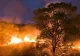Stare de urgență în Brazilia din cauza incendiilor care au cuprins regiunea Pantanal