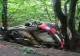 Accident la Transilvania Rally: pilot rănit, dus de urgență la spital