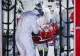Bilanț coronavirus 4 septembrie. Noi date comunicate oficial: 1.339 de infectări, 47 de decese