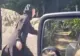 VIDEO Cum au ajuns la vot mai multe măicuțe de la mânăstirea Agapia