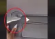 VIDEO - Funcția secretă a parasolarului din mașină - Puțină lume știe că poate fi folosit așa