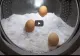 A băgat trei ouă și 10 kg de sare în mașina de spălat, apoi a dat drumul la centrifugare - Experiment