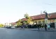 COZI imense la secțiile de vot din Tunari. Sute de oameni stau la rând încă de la 06.00 dimineața VIDEO