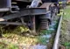 Patru vagoane ale unui tren au deraiat pe o linie industrială neelectrificată