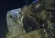 20 de morți după ce un autobuz s-a răsturnat - Tragedie