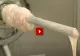 VIDEO – Imagini scăpate din fabrică – Cum sunt făcuți cârnații polonezi – Mai mănânci?