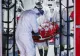 Bilanț coronavirus 29 octombrie. Date oficiale anunțate de autorități: 6.481 de cazuri noi, 83 de decese - RECORD ABSOLUT de infectări