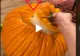 VIDEO – Cel mai tare dovleac de Halloween – Surpriza din interior i-a lăsat fără cuvinte pe copii