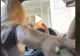 VIDEO – Ce a putut să-i facă soțul unei soferite. Femeia a început să țipe și era să facă accident