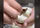 VIDEO – Părea un simplu ou, însă când i-a spart coajă a ieșit din el ceva extrem de periculos