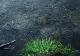 Prognoza meteo pentru București - Averse și descărcări electrice până marți