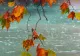 Alertă meteo: cod GALBEN de fenomene severe. Unde lovesc furtunile