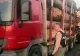 Primar din Argeș, condamnat pentru transport ilegal de lemn. Edilul a fost prins chiar la volanul camionului