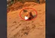 VIDEO A vrut să facă “podul”, dar a avut o aterizare forțată. Din fericire a scăpat cu bine