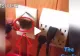 VIDEO – Ce a putut rămâne blocat într-o priză electrică. Imagini haioase