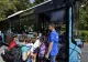 Gratuitate la serviciile publice de transport şi pentru elevii din învăţământul preuniversitar privat