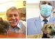 OFICIAL Marcel Vela: Poliția Animalelor, înființată prin Ordonanță de Guvern