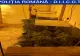 Cultură de cannabis în borcane, descoperită într-o locuinţă din Craiova. Un tânăr a fost arestat preventiv