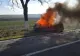 VIDEO| Mașină în flăcări după ce s-a izbit de un copac, în Tulcea