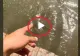 VIDEO – A observat un pește pe fundul apei și a vrut să le arate și prietenilor. Ce a urmat întrece orice imaginație