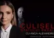 VIDEO Culisele Statului Paralel, 1 aprilie: Cum a fost distrusă industria autohtonă a zahărului