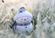 Prognoza meteo pe o lună. Cum va fi vremea de Crăciun. Când ninge în București 