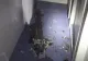 Un nou incendiu la un spital din România. Trei bolnavi au fost evacuați