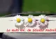 SFÂNTUL ANDREI 2020. MESAJE, URĂRI, FELICITĂRI de Sfântul Andrei. Cele mai frumoase mesaje pentru sărbătoriți