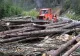 Senatorii au votat. Construcțiile începute înainte de 2007, scoase din ariile protejate. Care este miza. Cine pierde, cine câștigă?