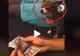 VIDEO – Reacția genială a unui cățel atunci când vede banii stăpânului