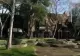 VIDEO | Legendarul domeniu ”Neverland”, al lui Michael Jackson, a fost vândut cu peste 20 de milioane de dolari. Cine este cumpărătorul