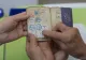 ALEGERI PARLAMENTARE 2020. Prezența la vot în timp real. Cifre OFICIALE 