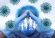 Bilanț coronavirus 20 decembrie. Informații oficiale: doar 3.350 de noi infectări, în ultimele 24 de ore, și 98 de decese