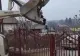 Gunoiul de pe malul apei, strâns de primar și vărsat în curtea bărbatului care l-a aruncat