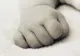 Femeia care și-a abandonat bebelușul într-o pungă de plastic pe stradă, sub control judiciar. Motivul gestului șocant