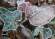 Alertă de ultim moment: cod GALBEN de fenomene meteo periculoase 