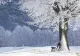 Cum va fi iarna anului 2021-2022. Meteorologii anunță când va ninge în România
