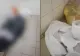 Imagini tulburătoare: morți Covid, ținuți pe jos, în mizerie, într-un spital din România