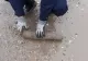 Trei proiectile neexplodate, descoperite de muncitori pe banda rulanță de la o balastieră din Vrancea