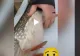 VIDEO – Pescarii au obsevat ceva suspect în burtă unui pește – Când l-au despicat, au rămas uimiți – Încă mișca